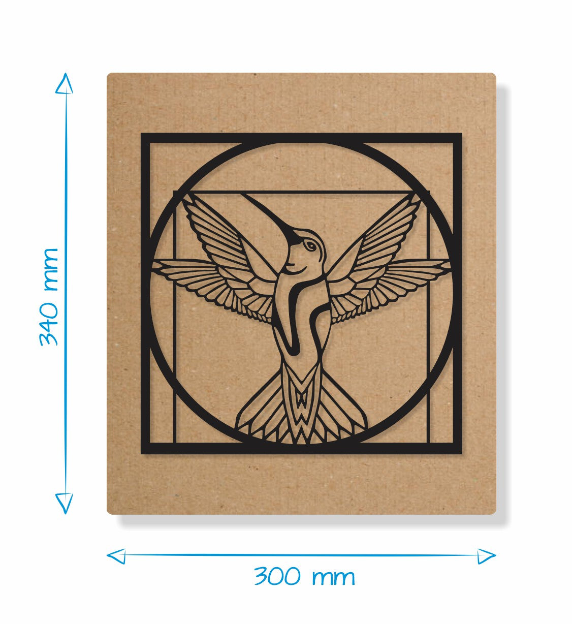 Vitruvian Bird - Gift Box Decor