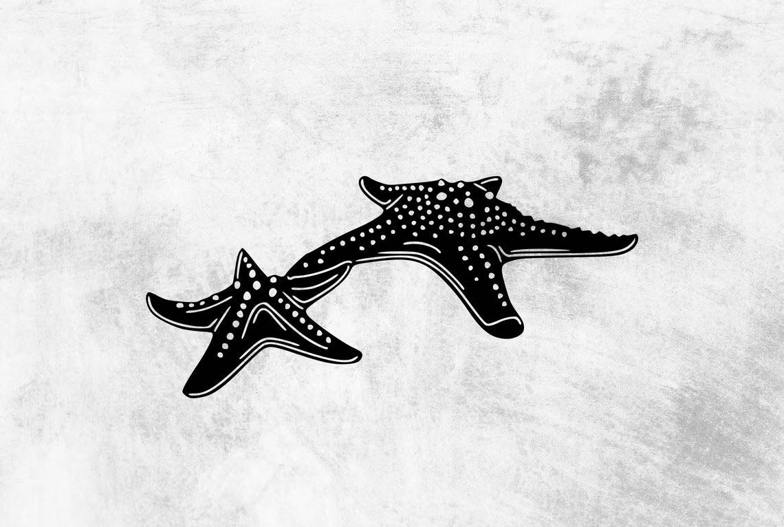 Starfish - Wall Art